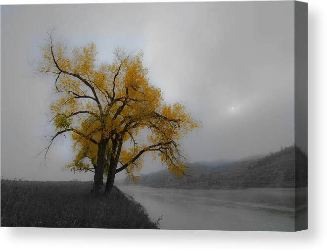 Montana Canvas Print featuring the photograph Loner by Kevin Spriggs