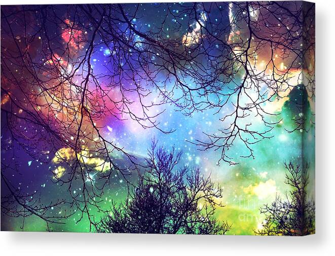 Night Canvas Print featuring the photograph Look to the Stars by Sylvia Cook