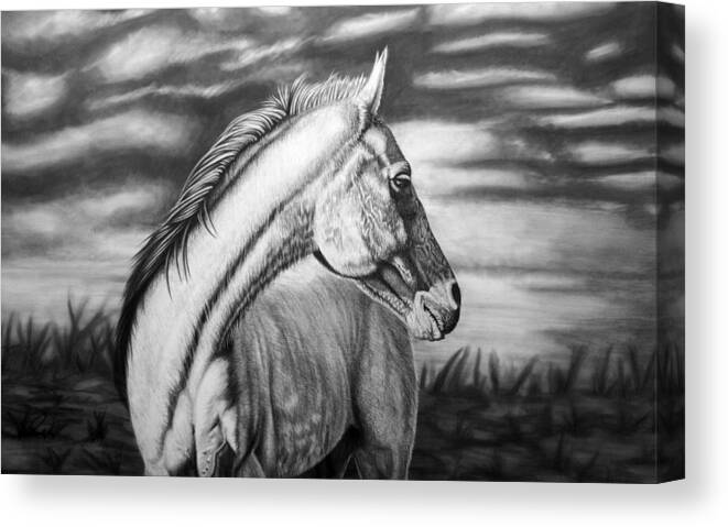 Canvas Canvas Print featuring the drawing Looking Back by Glen Powell
