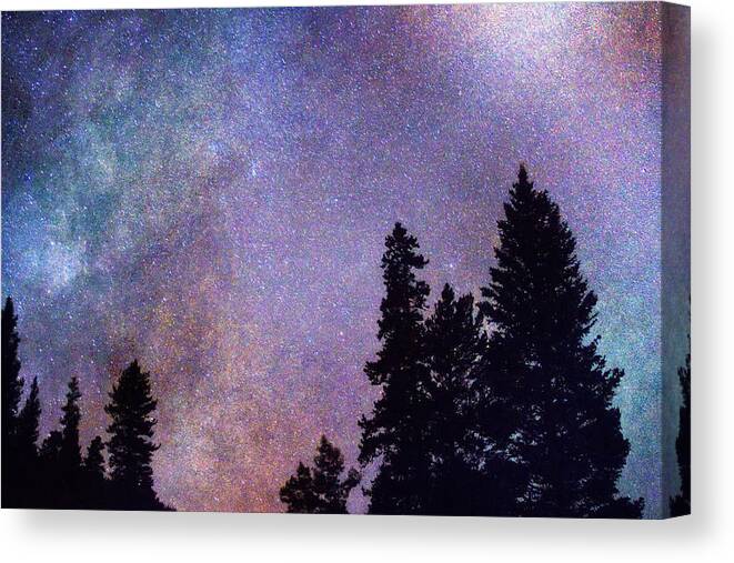 Stars Canvas Print featuring the photograph Looking into the Heavens by James BO Insogna