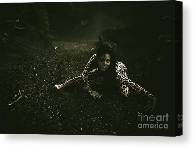 Cat Suit Canvas Print featuring the photograph Looking up by Scott Sawyer