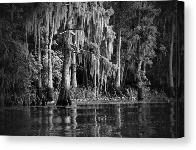 Louisiana Canvas Print featuring the photograph Louisiana Bayou by Mountain Dreams