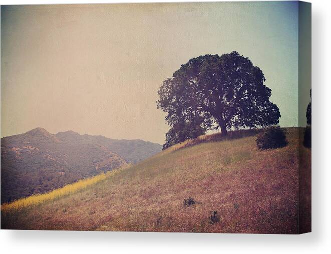Mt. Diablo State Park Canvas Print featuring the photograph Love Lifts Us Up by Laurie Search