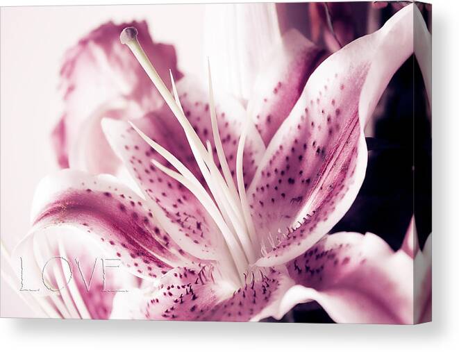 Lilly Canvas Print featuring the photograph Love by Milena Ilieva
