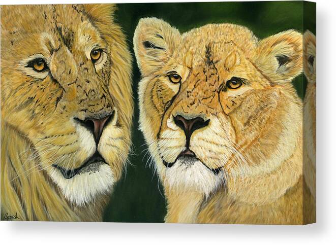 Lion Canvas Print featuring the painting Lovely Lions by Sarah Dowson