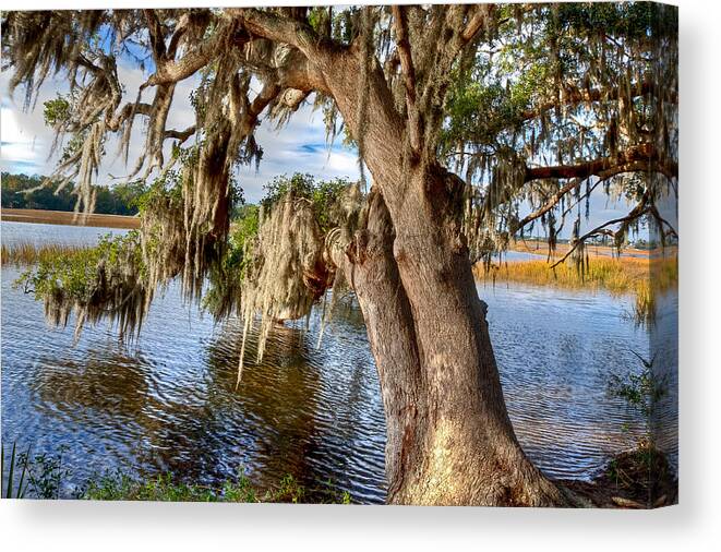 Mount Pleasant Canvas Print featuring the photograph Low Country Creek by Walt Baker
