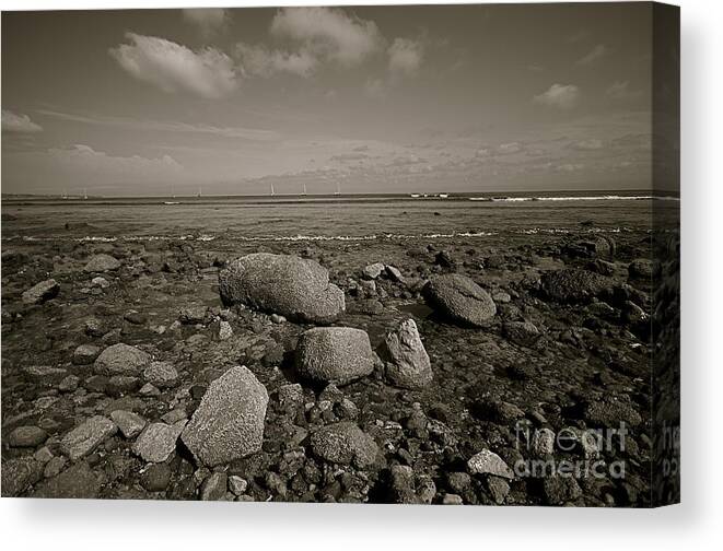 Sea Canvas Print featuring the photograph Low Tide by Nicola Fiscarelli