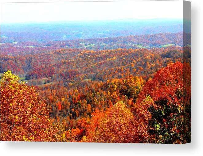 Bolt Mountain Canvas Print featuring the photograph Lower Bolt Overlook by Ray Dugan