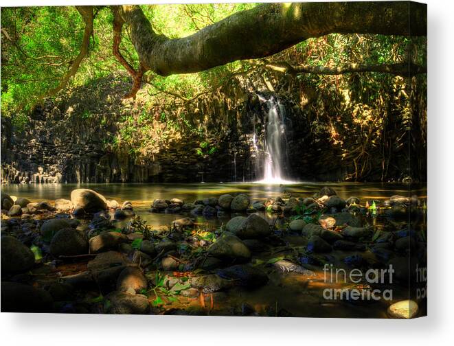 Lower Twin Falls Canvas Print featuring the photograph Lower Twin Falls Maui by Kelly Wade