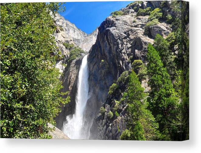 California Canvas Print featuring the photograph Lower Yosemite Falls - Yosemite National Park - California by Bruce Friedman