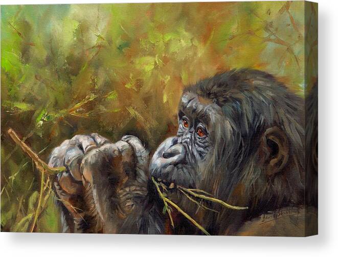 Gorilla Canvas Print featuring the painting Lowland Gorilla 2 by David Stribbling