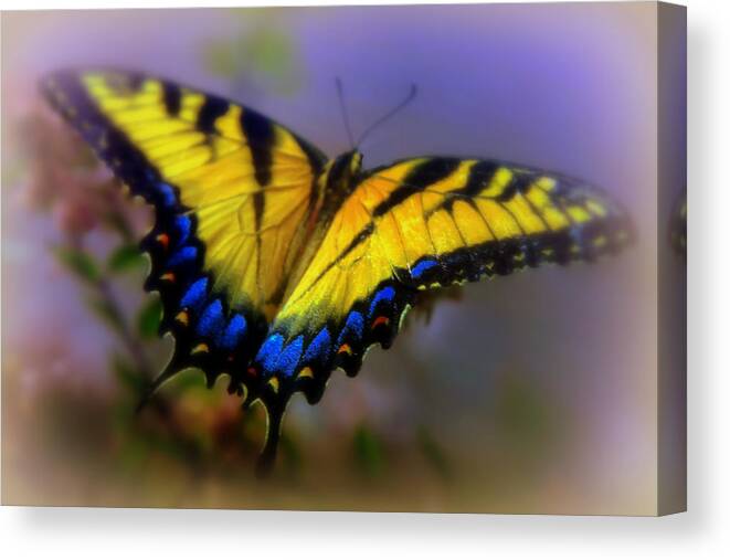 Butterflies Canvas Print featuring the photograph MAGIC of FLIGHT by Karen Wiles