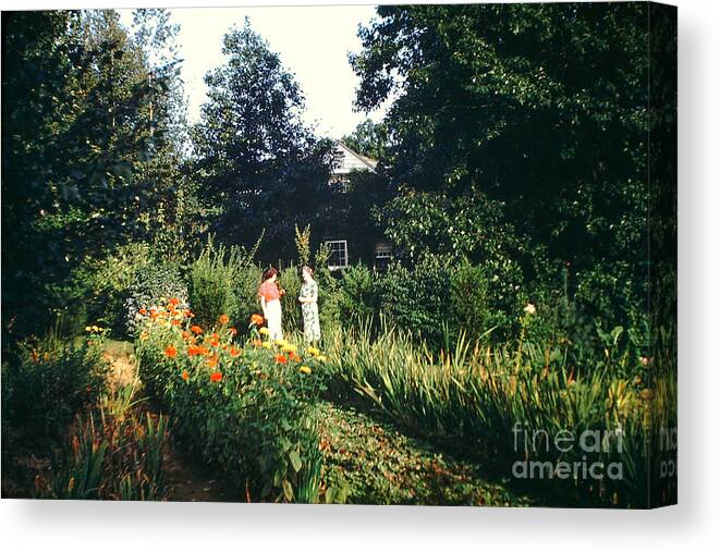 Maine Canvas Print featuring the photograph Maine Garden by George DeLisle