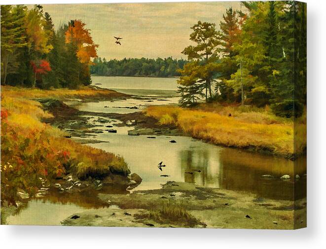 Maine Canvas Print featuring the photograph Maine Wetlands by Cathy Kovarik