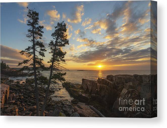 Maine Sunrise Canvas Print featuring the photograph Maine's Golden Sky by Michael Ver Sprill