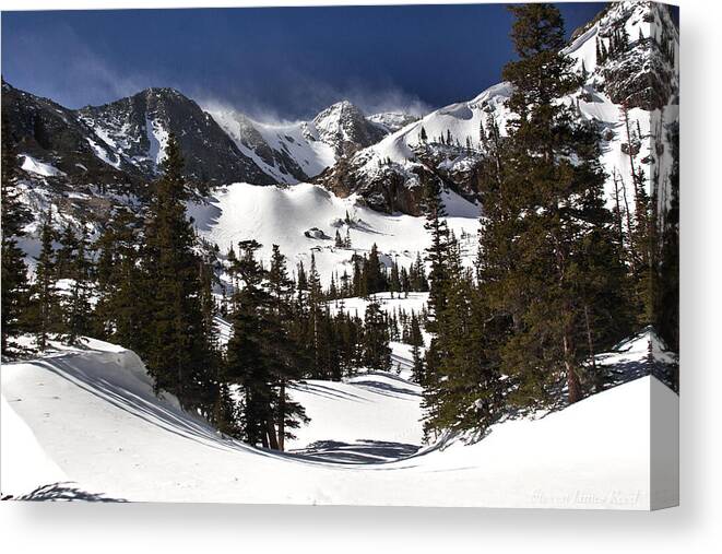 Landscape Canvas Print featuring the photograph Majestic by Steven Reed