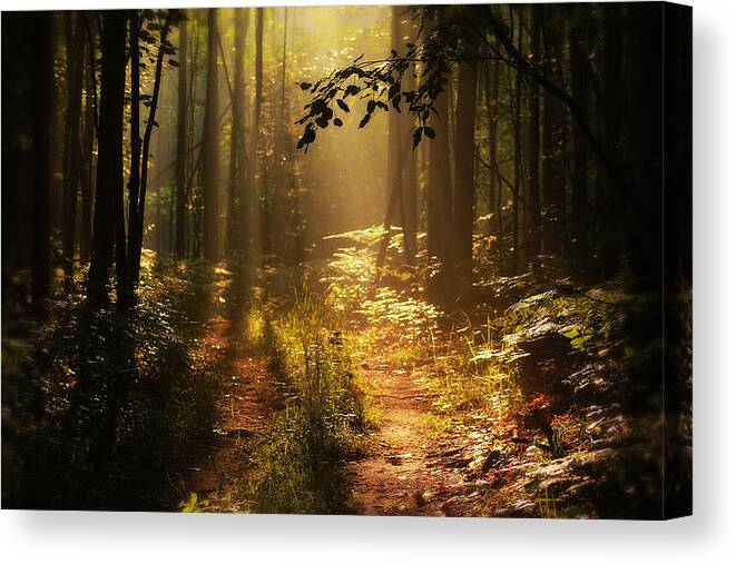 Country Canvas Print featuring the photograph Majestic Trail by Scott Hovind