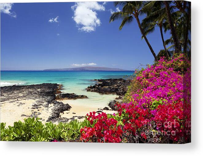 Beach Canvas Print featuring the photograph Makena Cove Maui 2 by David Olsen