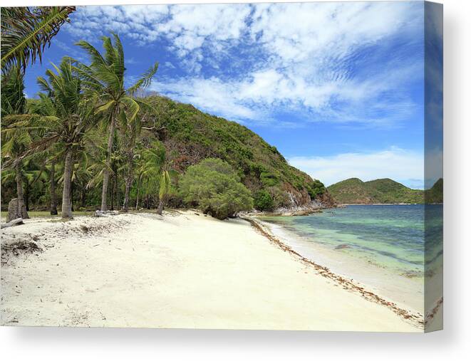 Scenics Canvas Print featuring the photograph Malcapuya Island Beach by Vuk8691