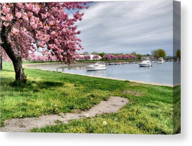 Landscape Canvas Print featuring the photograph Mamaroneck Harbor by Diana Angstadt