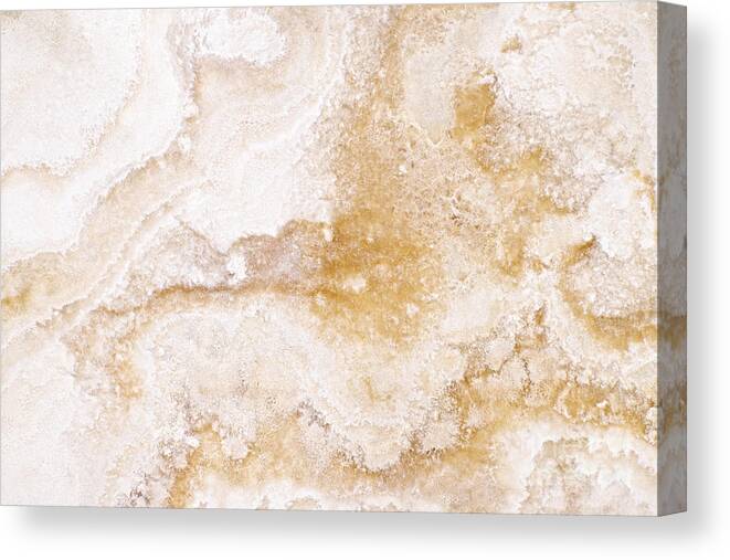 Marble Canvas Print featuring the photograph Marble by Elena Elisseeva