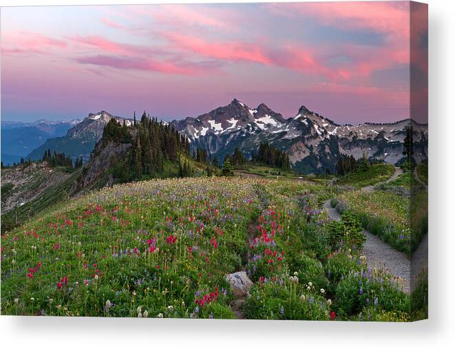 Mountains Canvas Print featuring the photograph Mazama Ridge Wildflowers by Michael Russell
