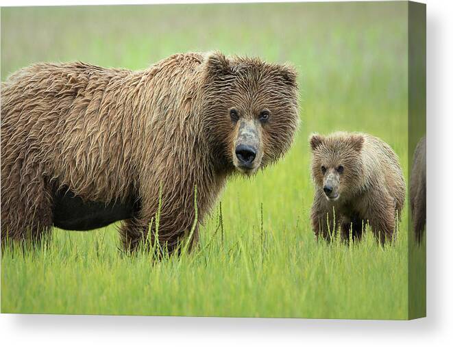 Alaska Canvas Print featuring the photograph Me And Ma by Renee Doyle