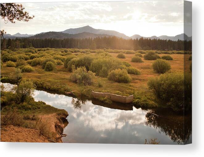 Tranquility Canvas Print featuring the photograph Meadow by Lianne Milton