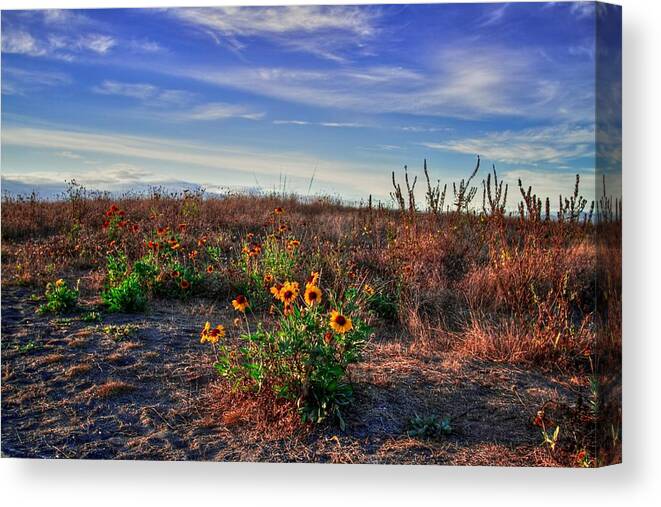 Meadow Canvas Print featuring the photograph Meadow Of Wild Flowers by Eti Reid