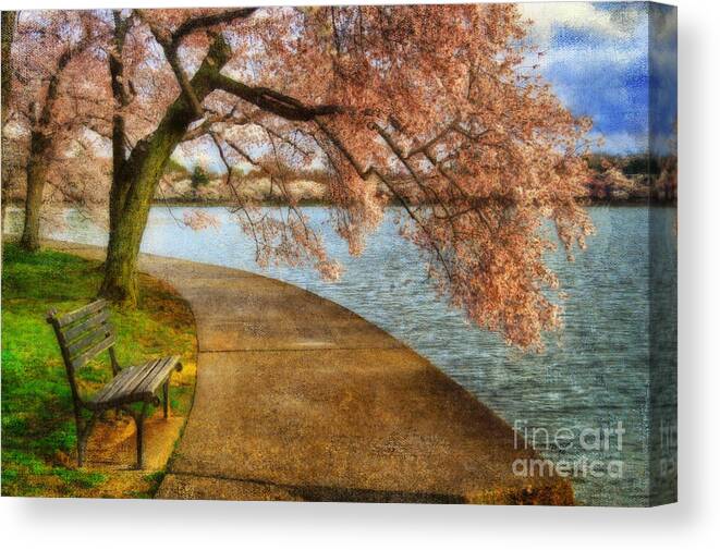 Bench Canvas Print featuring the photograph Meet Me At Our Bench by Lois Bryan