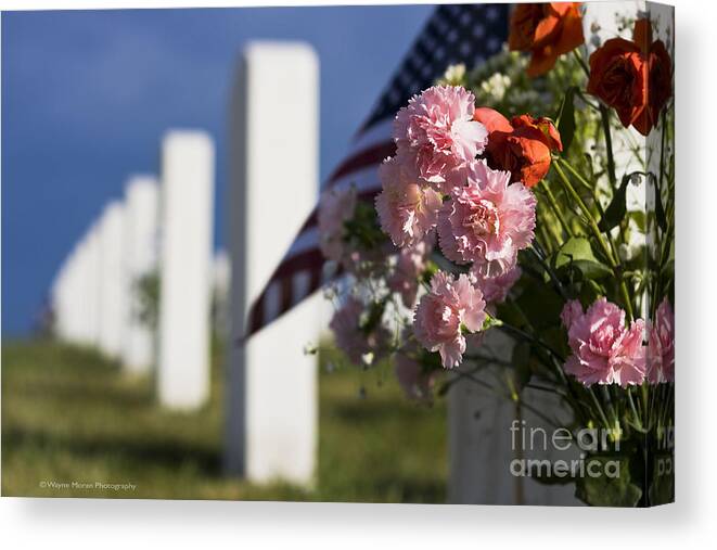 Memorial Day Canvas Print featuring the photograph Memorial Day Beauty in the Sacrifice by Wayne Moran