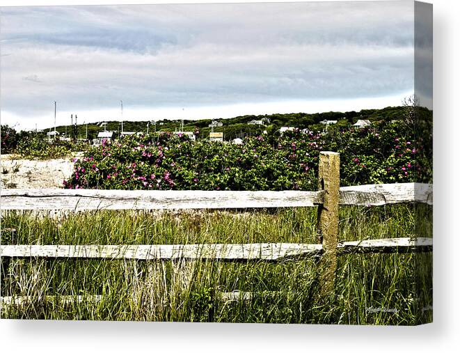 Menemsha Memories Canvas Print featuring the photograph Menemsha Memories by Michelle Constantine