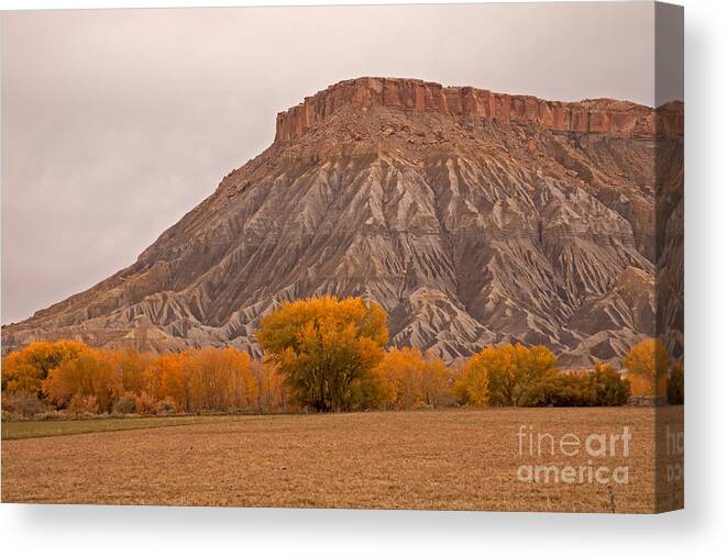 Afternoon Canvas Print featuring the photograph Mesa by Fred Stearns