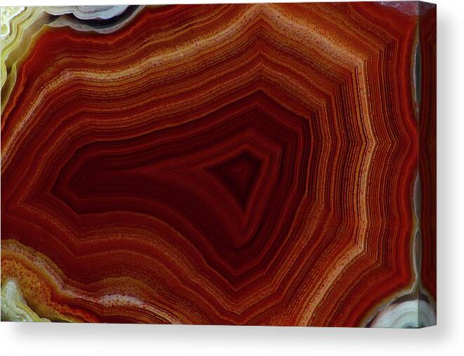 Mineral Canvas Print featuring the photograph Mexican Laguna Agate, Close-up by Darrell Gulin