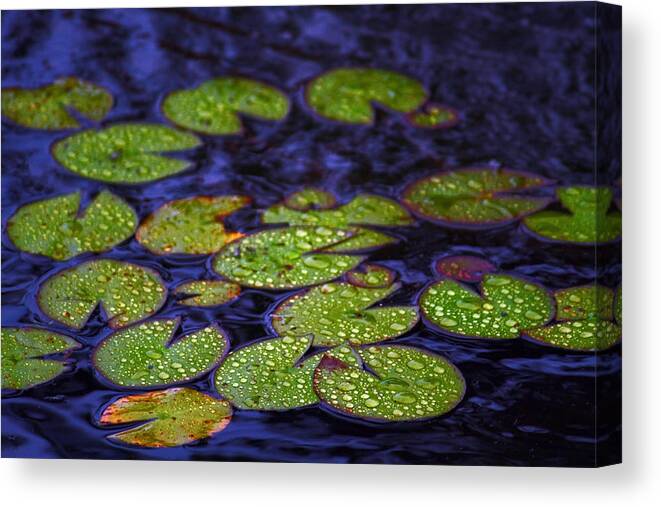 Pond Canvas Print featuring the digital art Midnight Pond with Lily Pads by William Rockwell