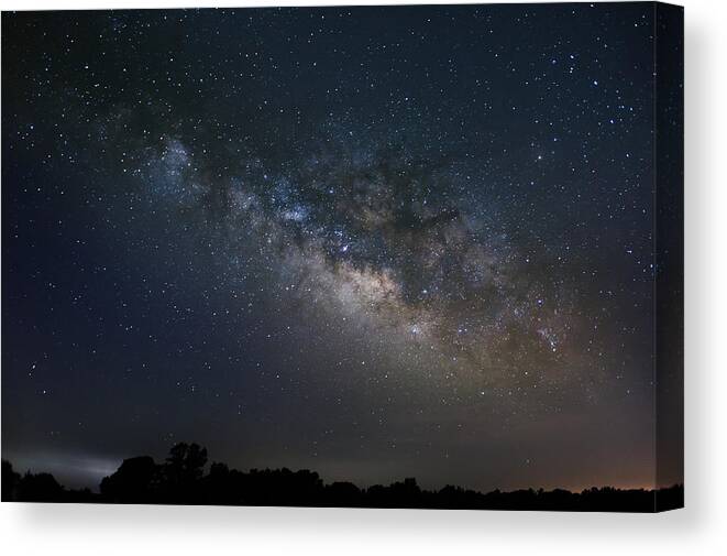 Milky Way Canvas Print featuring the photograph Milky Way Above The Trees by Todd Aaron
