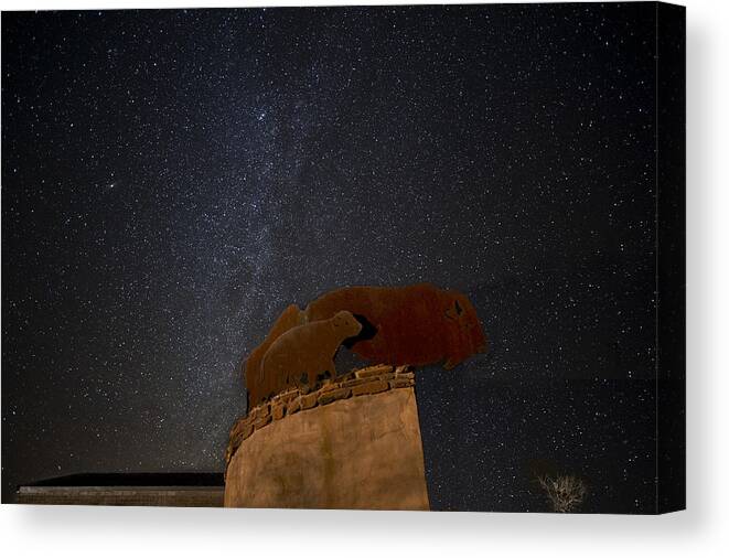Milkyway Canvas Print featuring the photograph MilkyWay and Bison by Melany Sarafis