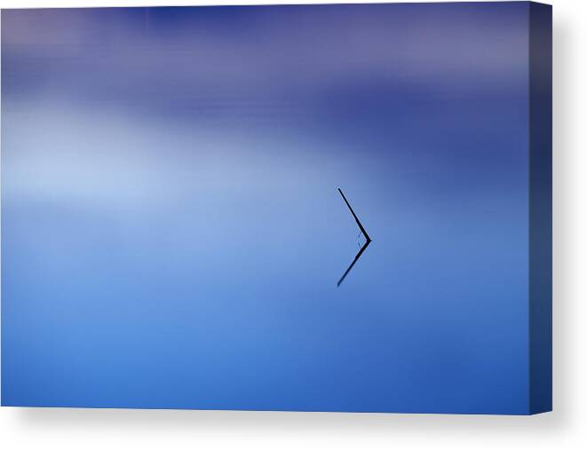 Blue Canvas Print featuring the photograph Minimalistic by Ivan Slosar