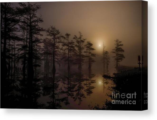 Swamp Canvas Print featuring the photograph Mississippi Foggy Delta Swamp at Sunrise by T Lowry Wilson
