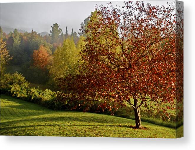 Fall Canvas Print featuring the photograph Misty Autumn Morning by Alice Mainville