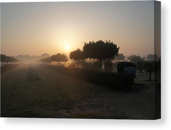 Misty Garden Canvas Print featuring the photograph Misty garden in the morning light by Elena Perelman