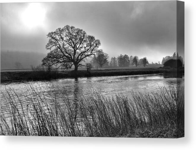 Mist Canvas Print featuring the photograph Misty Light by Joe Ormonde