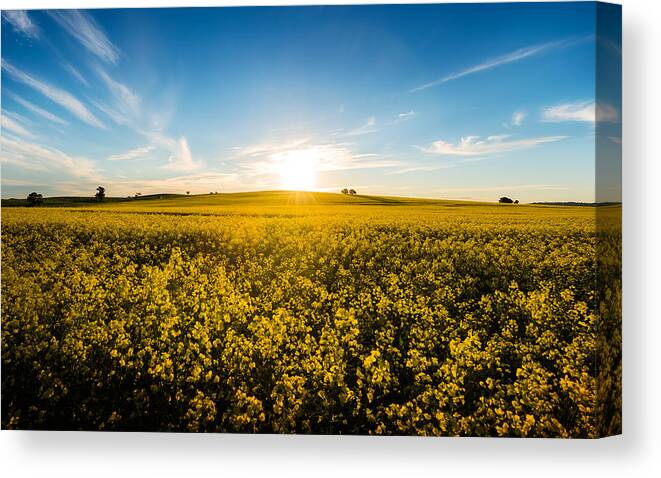 Scenics Canvas Print featuring the photograph Mix2 by 1000000