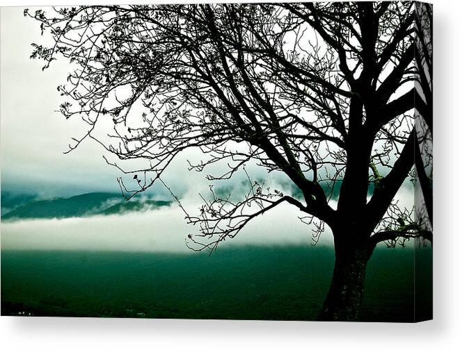 Tree Canvas Print featuring the photograph Moment by HweeYen Ong