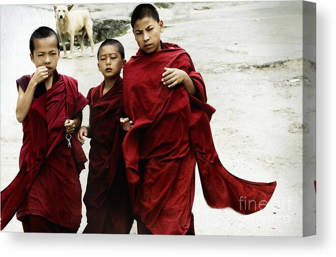 Asia Canvas Print featuring the digital art Monastery leave by Angelika Drake
