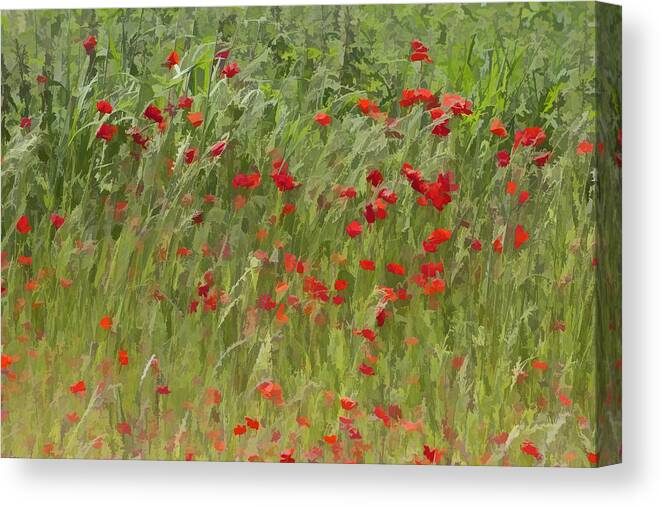 Abstract Canvas Print featuring the photograph Monet Poppies III by David Letts