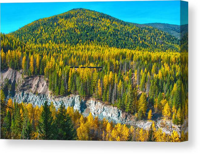Amtrak Canvas Print featuring the photograph Montana Aspens by Brenda Jacobs