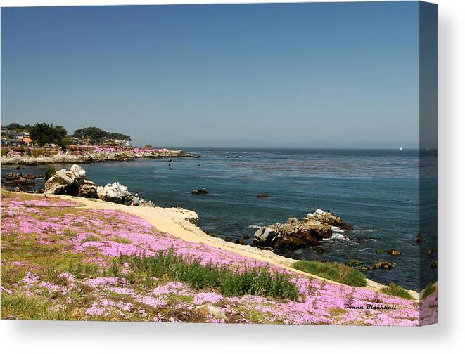 Monterey Canvas Print featuring the photograph Monterey Bay by Donna Blackhall