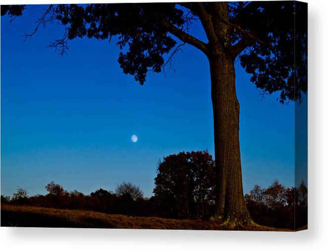 Moon Canvas Print featuring the photograph Moon behind the Tree by Jonny D