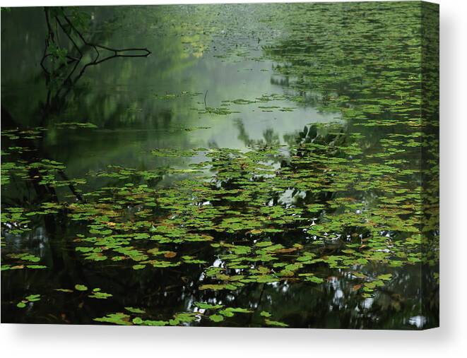 Tranquility Canvas Print featuring the photograph Moonlight Blues - Quiet Pond Covered by Yuko Yamada